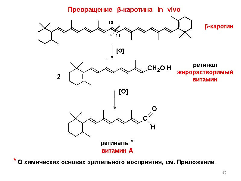 12 Превращение  β-каротина  in  vivo ретинол жирорастворимый витамин ретиналь * 